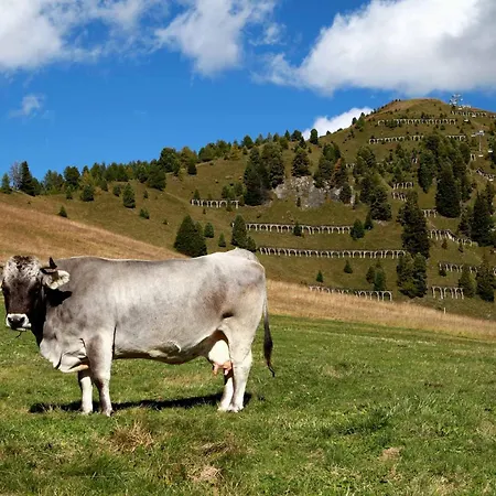 Goetznerhof - Self-check-in Hotel Innsbruck