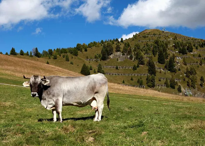 Goetznerhof - Self-check-in Szálloda Innsbruck